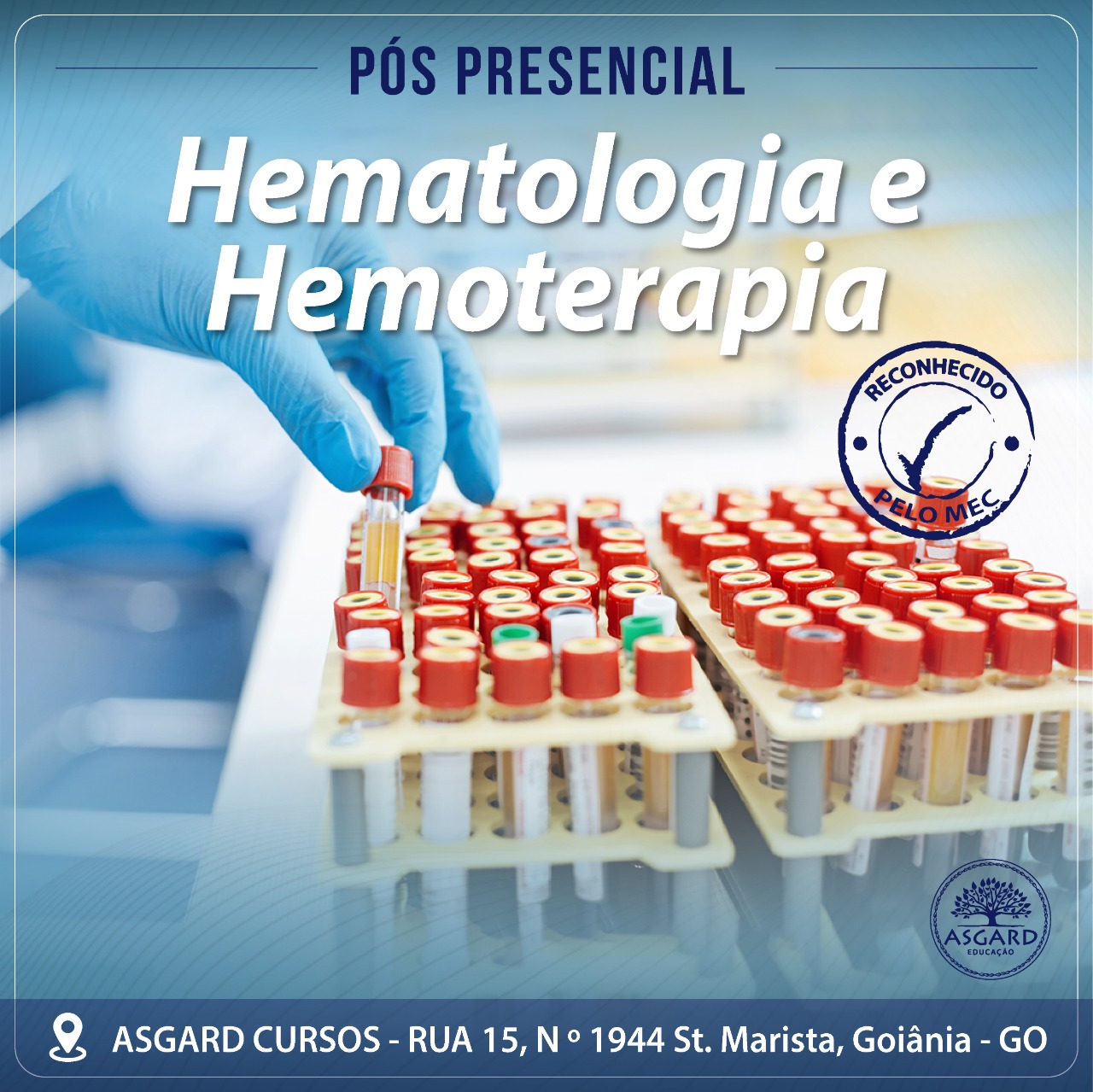 Course Image  Hematologia e Hemoterapia Presencial 